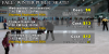Fall/Winter Public Skate - Starting Sept. 10th